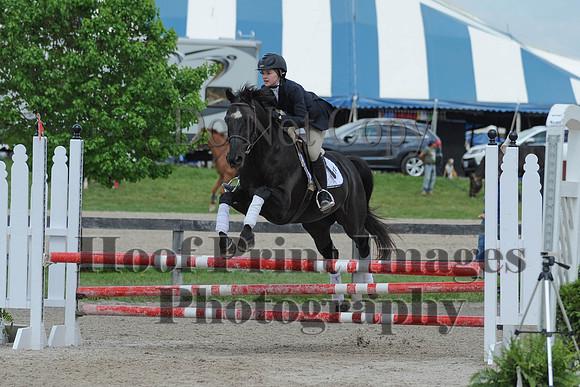 BRSa(5-17-14)0.8mJCl0041