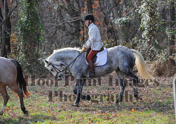 AndrewsBr(11-9-14)0591