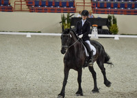CWdressageI(8-20-16)0053