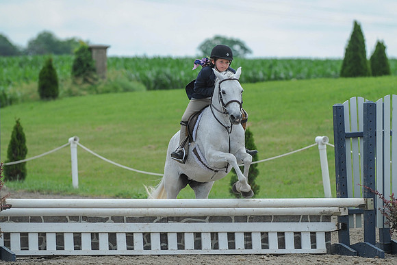 SC(6-28-14)SMPony0093