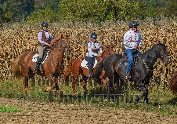 CheshirePonyClubPC(10-6-24)0083