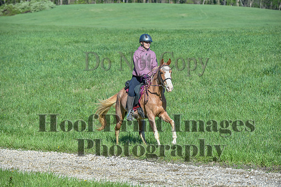 ChesapeakeSpring(4-27-25)0533
