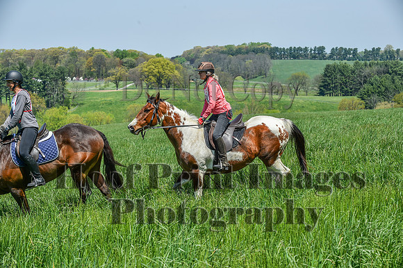 CheshireSpringPC1(4-28-24)0464