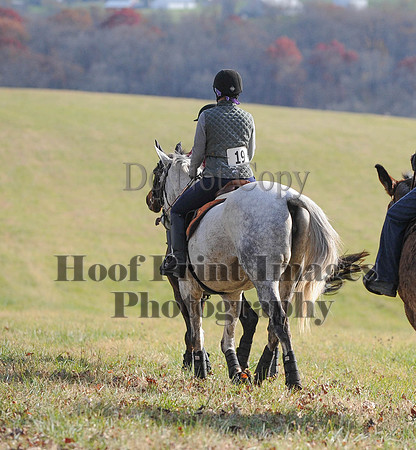 AndrewsBr(11-9-14)0583