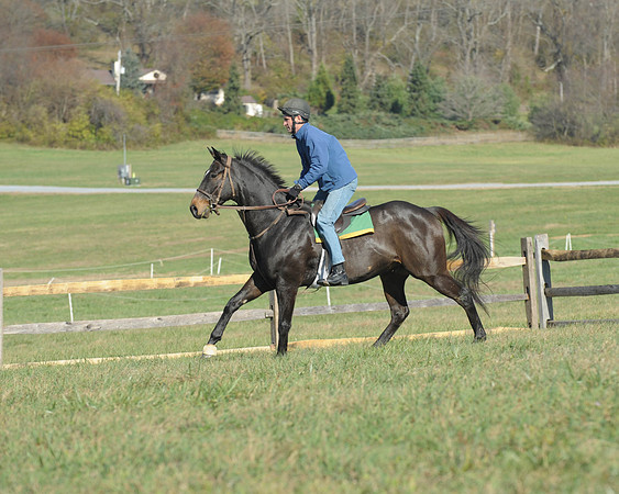 BHPC(11-15-15)0232