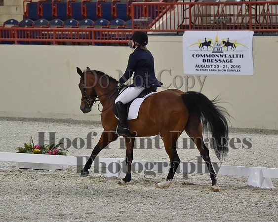 CWdressageII(8-21-16)2118