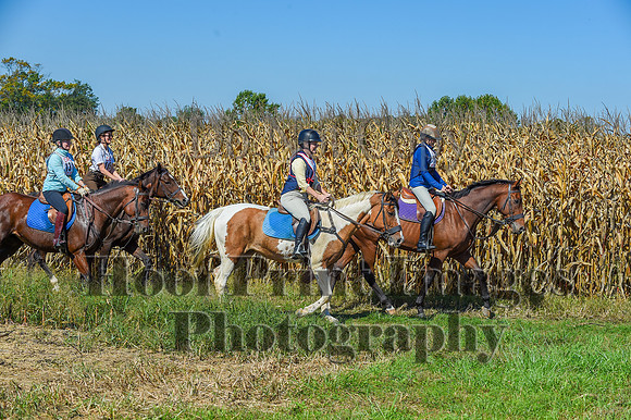CheshirePonyClubPC(10-6-24)0507