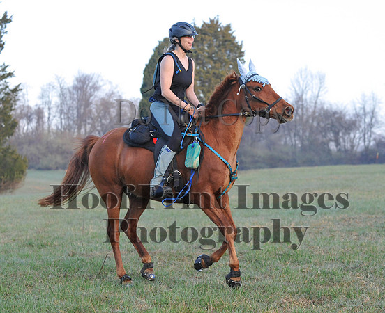 Foxcatcher(4-12-14)0150