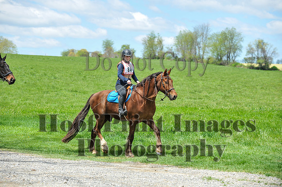MrStewartsCheshirePC1(4-27-25)0331