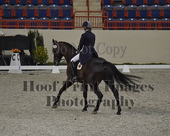CWdressageII(8-21-16)0715
