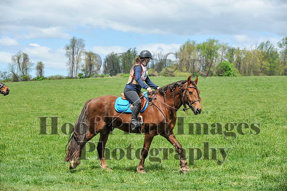 MrStewartsCheshirePC1(4-27-25)0335