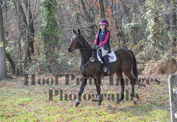 AndrewsBr(11-9-14)0597