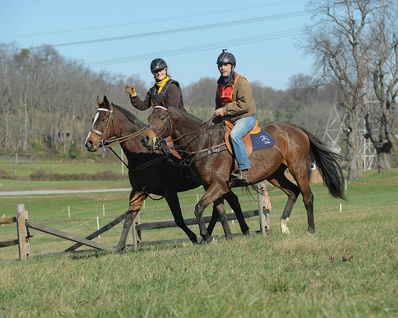 BHPC(11-15-15)0334