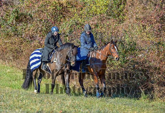 FairHillFallPC(11-30-24)0147
