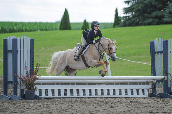 SC(6-28-14)SMPony0050