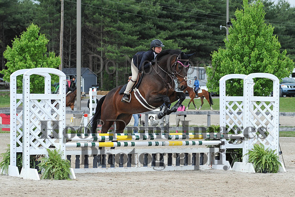 BRSa(5-17-14)0.8mJCl0052