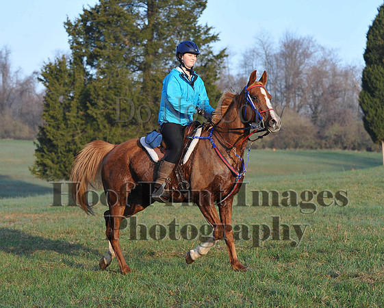 Foxcatcher(4-12-14)0456