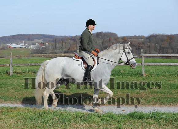 AndrewsBr(11-9-14)0629