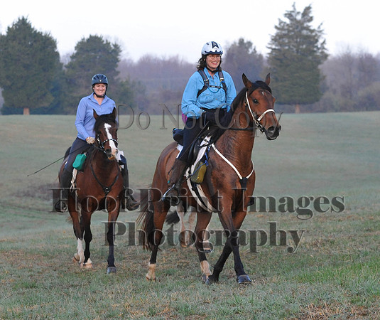 Foxcatcher(4-12-14)0117