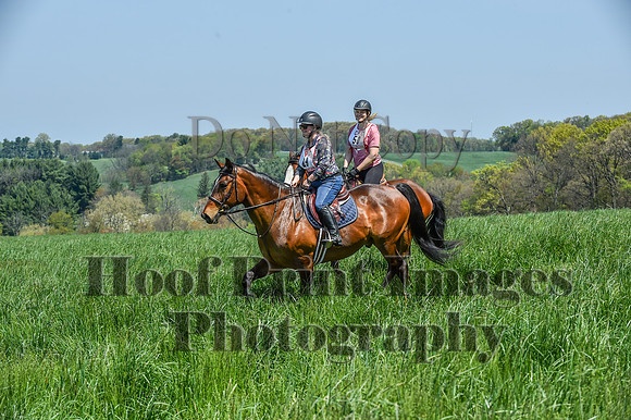 CheshireSpringPC1(4-28-24)0428