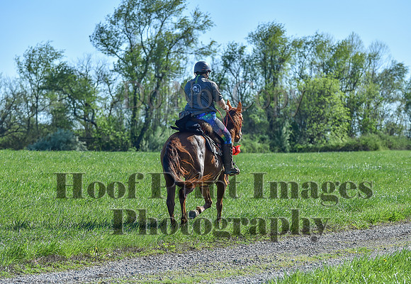 ChesapeakeSpring(4-27-25)0364