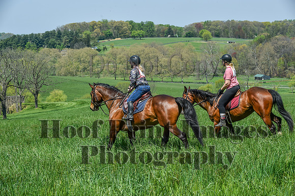 CheshireSpringPC1(4-28-24)0435
