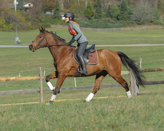 BHPC(11-15-15)0340