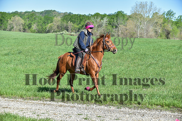 ChesapeakeSpring(4-27-25)0452