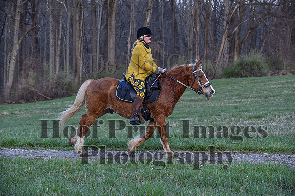 ChesapeakeSpring(4-10-22)0421