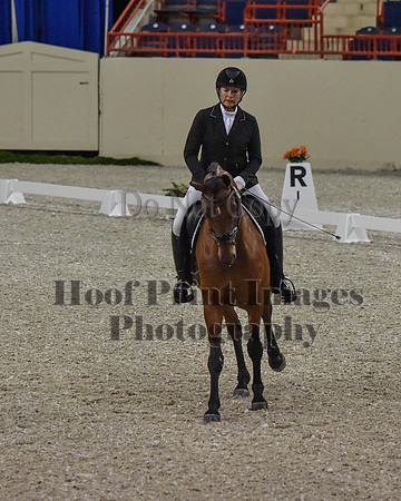 CWdressageII(8-21-16)0160