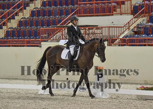 CWdressageI(8-20-16)0666