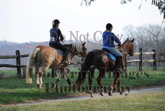AndrewsBr(11-9-14)0365
