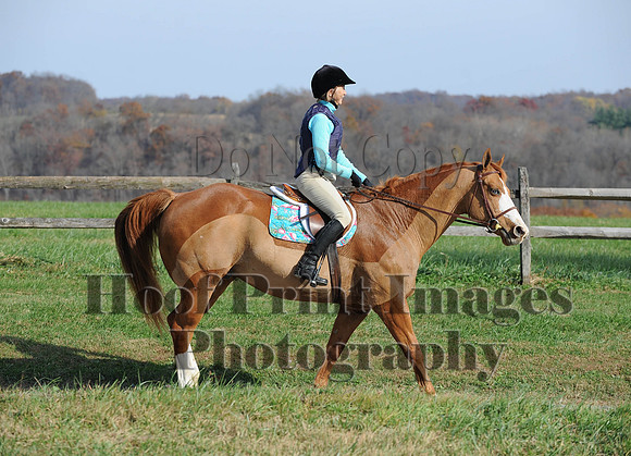 AndrewsBr(11-9-14)0345