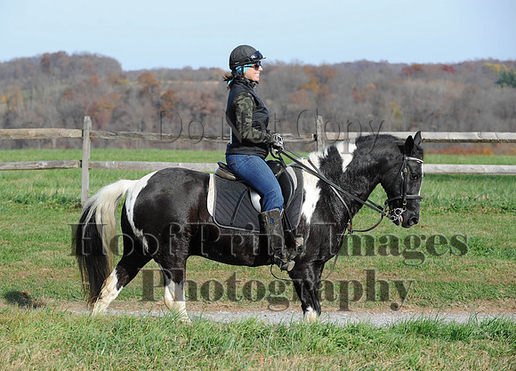 AndrewsBr(11-9-14)0611