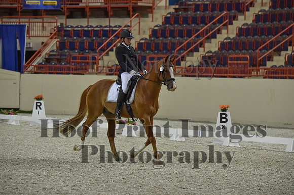 CWdressageI(8-20-16)0499