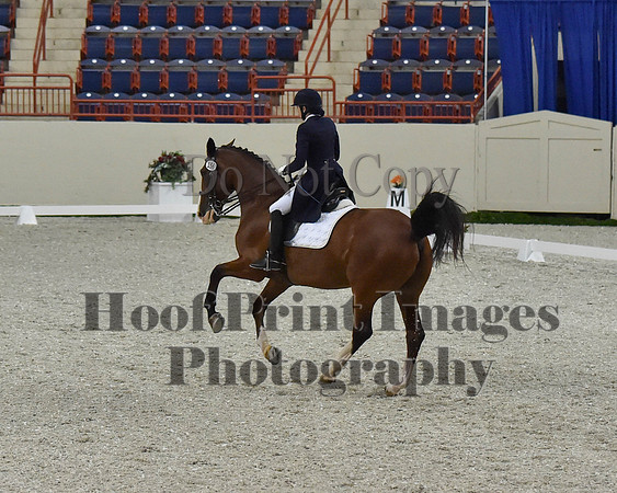 CWdressageII(8-21-16)1755
