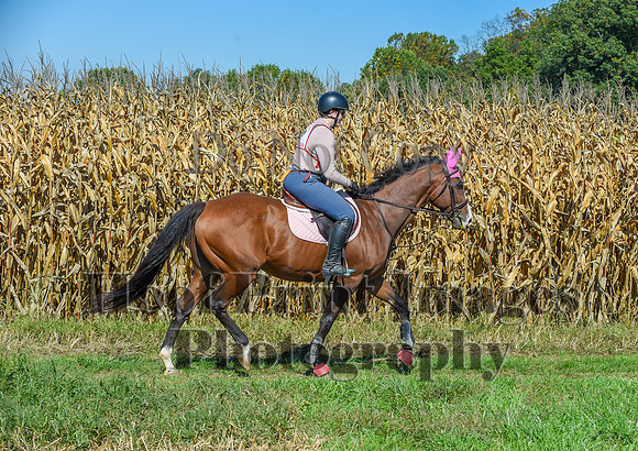CheshirePonyClubPC(10-6-24)0497
