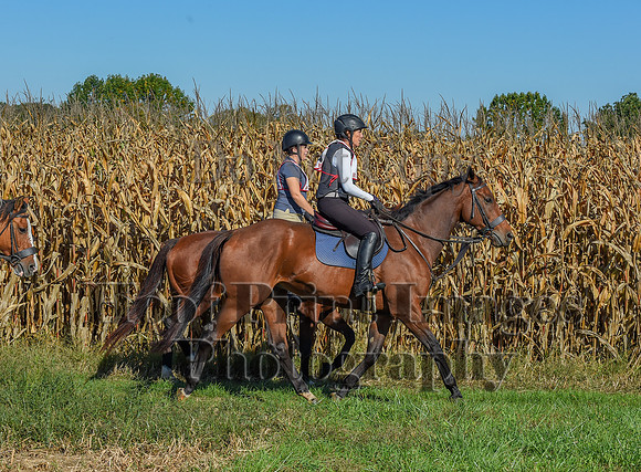CheshirePonyClubPC(10-6-24)0067