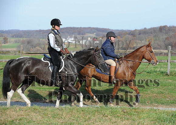AndrewsBr(11-9-14)0622