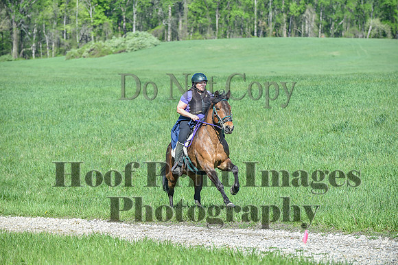 ChesapeakeSpring(4-27-25)0594