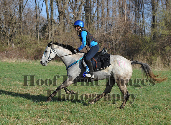 Foxcatcher(4-12-14)0557