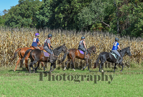 CheshirePonyClubPC(10-6-24)0374