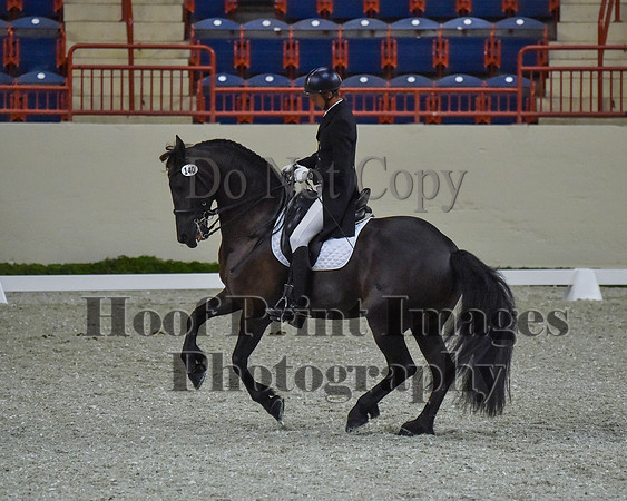CWdressageII(8-21-16)1803