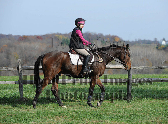 AndrewsBr(11-9-14)0435