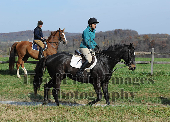 AndrewsBr(11-9-14)0403