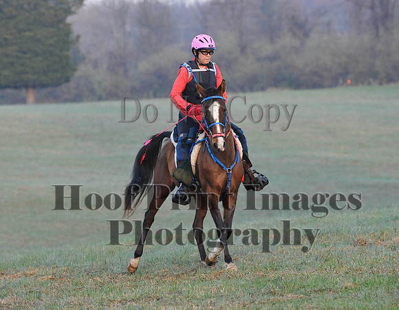Foxcatcher(4-12-14)0182