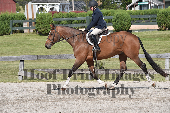 StCSun(5-15-16)PrAd0179