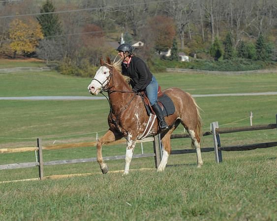 BHPC(11-15-15)0187