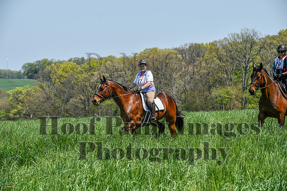 CheshireSpringPC1(4-28-24)0440