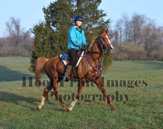 Foxcatcher(4-12-14)0455